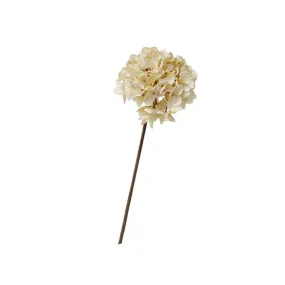 Dried-Look Hydrangea Cream