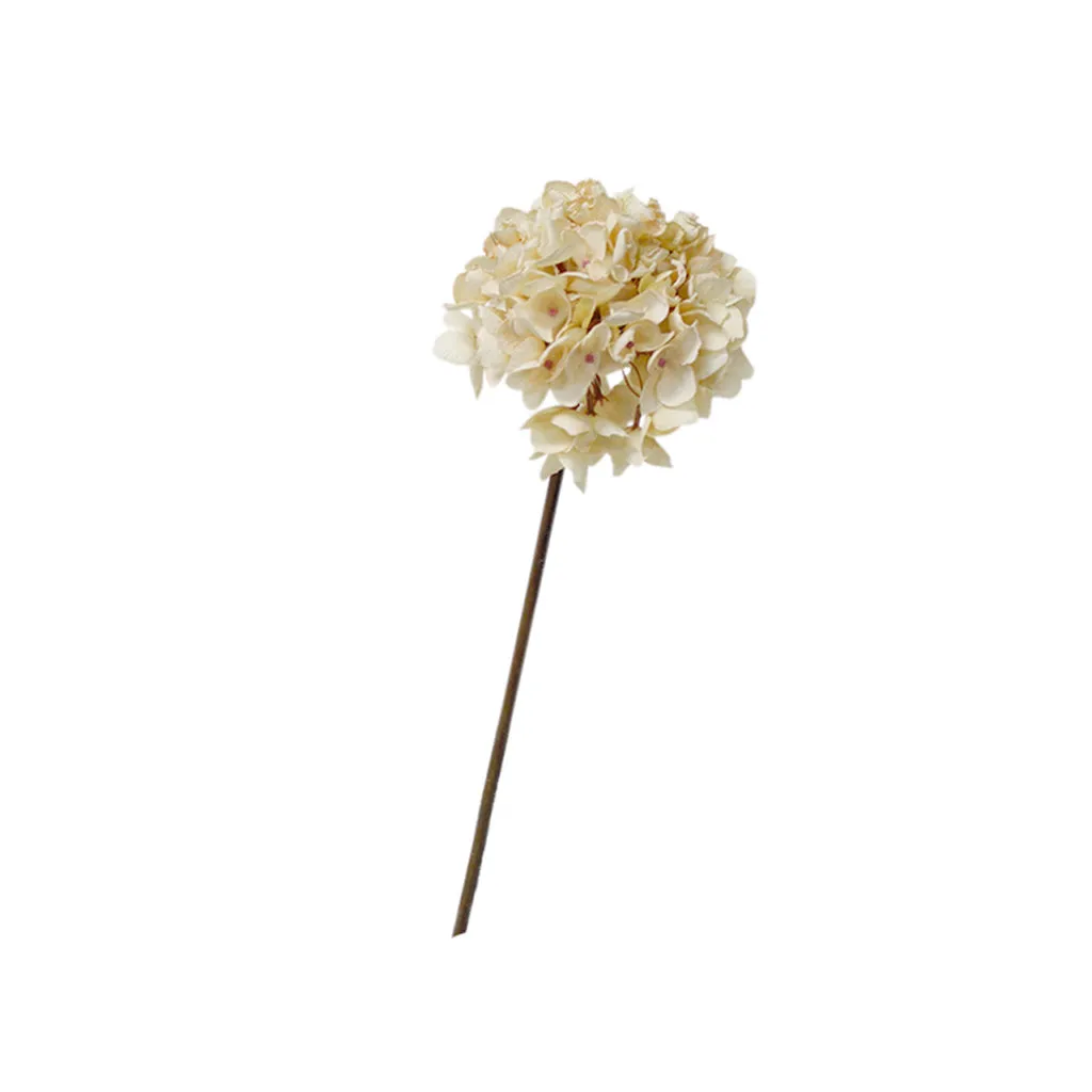 Dried-Look Hydrangea Cream