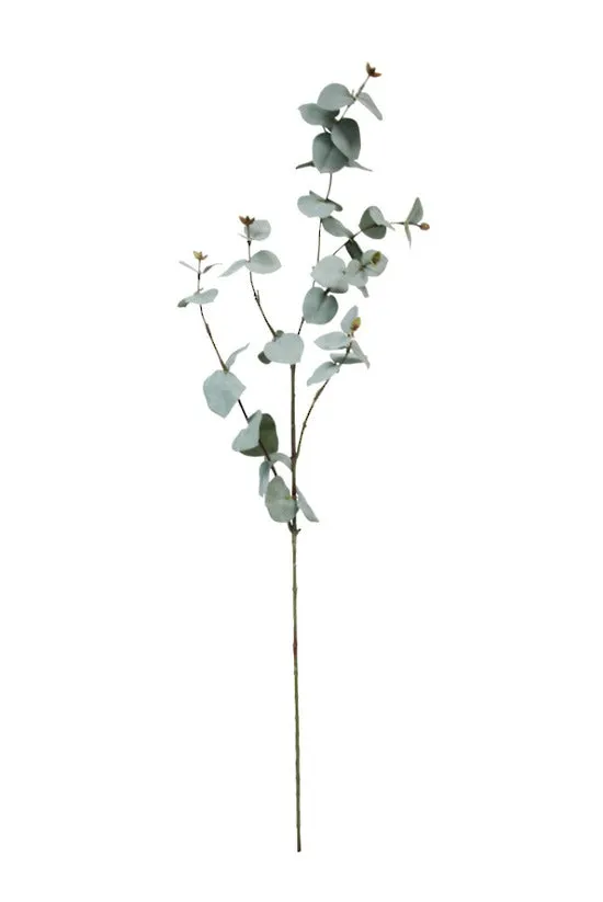 Eucalyptus Spray Grey